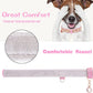 Cat Collar, Dog Collar, [Bling Rhinestones] Premium PU Leather with Pendant Adjustable Collars for Cat and Small to Medium Dog